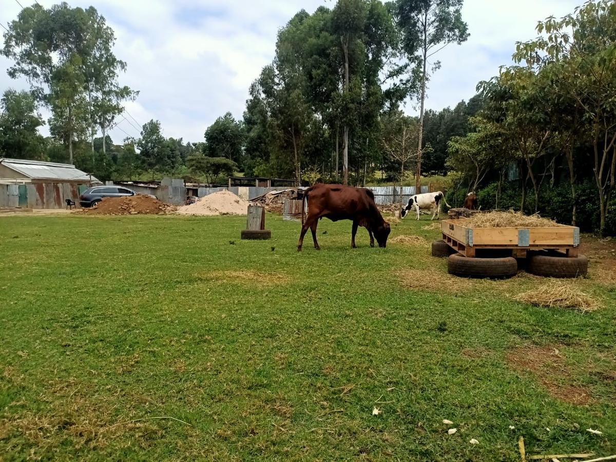 0.2706 ha Land at Karen Plains - 3