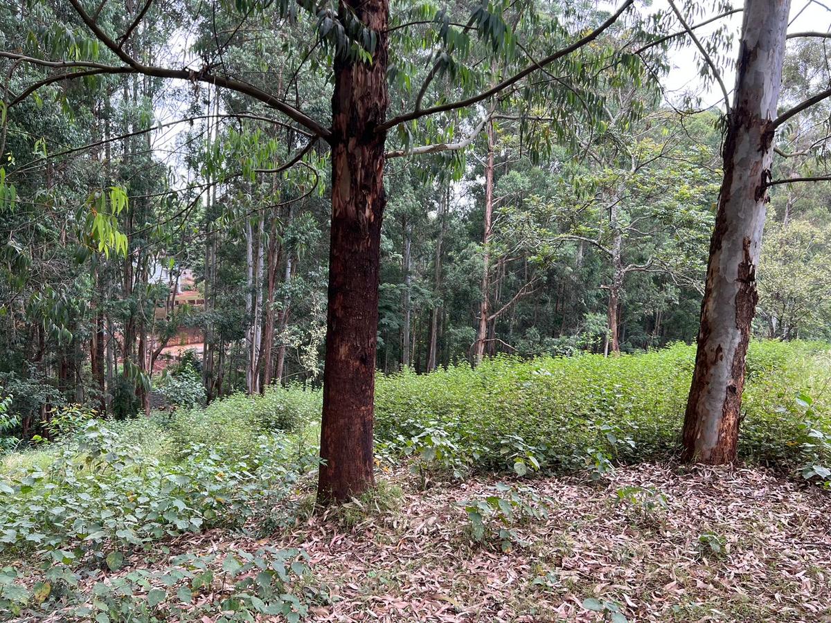 Residential Land at Nyari Estate - 3