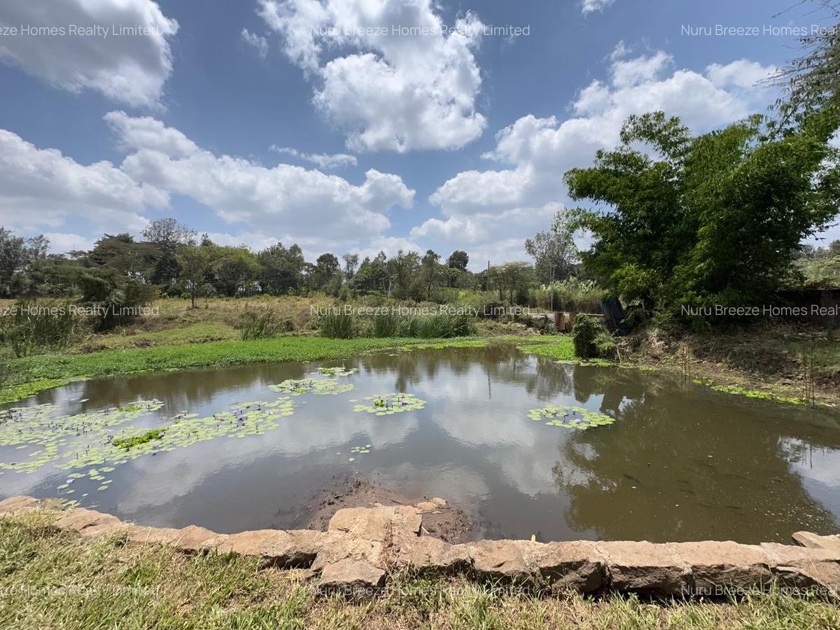 4 ac Land in Karen - 6