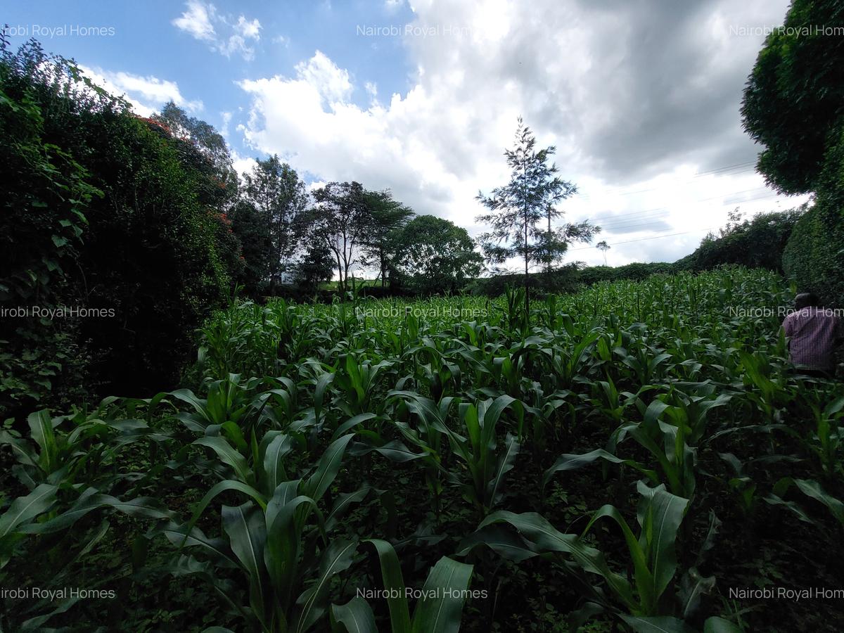 Land at Kirawa Road - 12