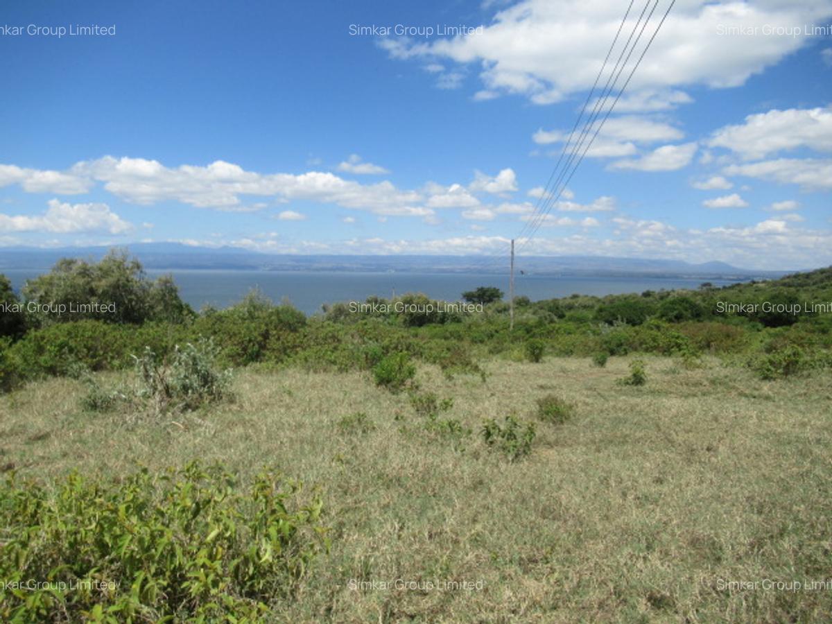 Land at Moi North Lake Rd - 11