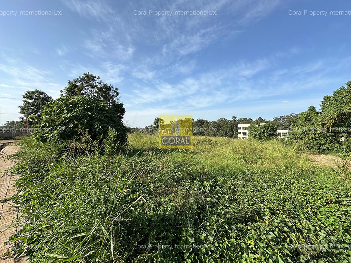0.25 ac Land in Tatu City - 3