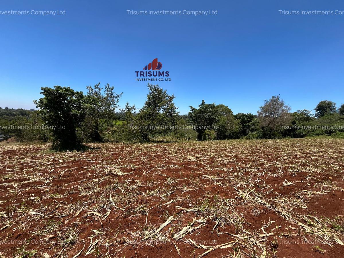 1.5 ac Land in Tigoni - 6