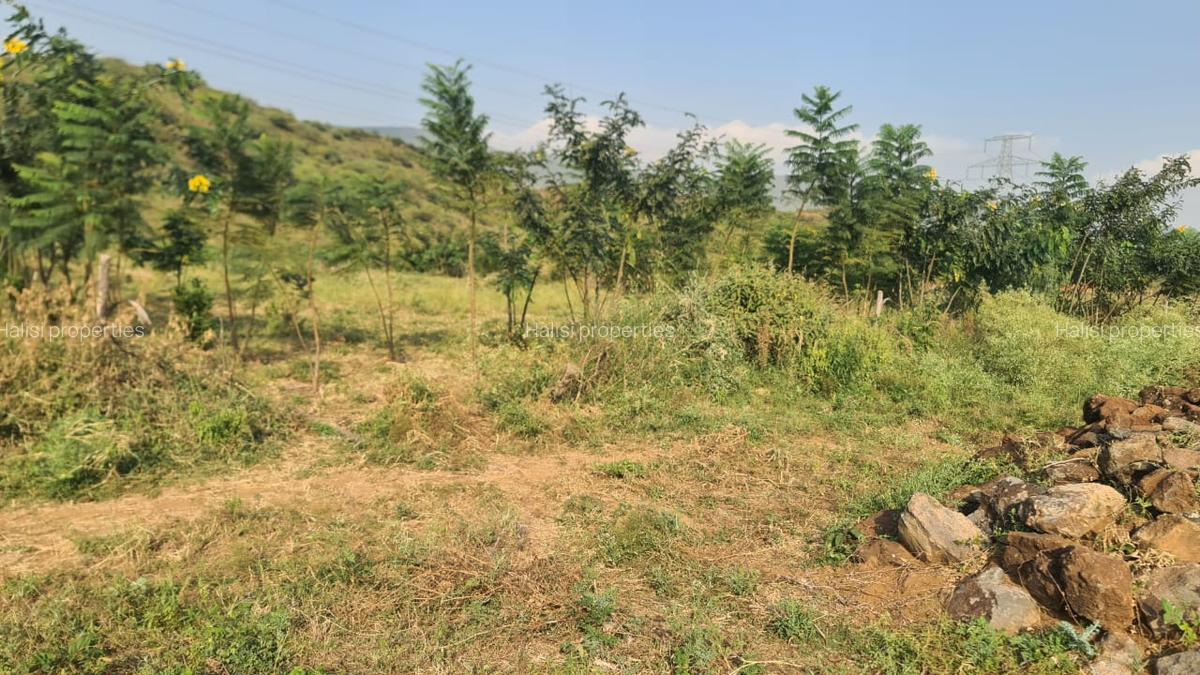 Residential Land at Nguirubi Nachu Amani Gardens - 10