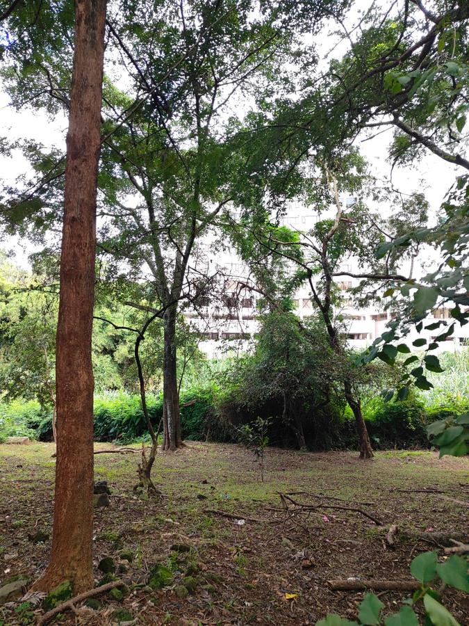 2 ac Land at Lantana Road - 4