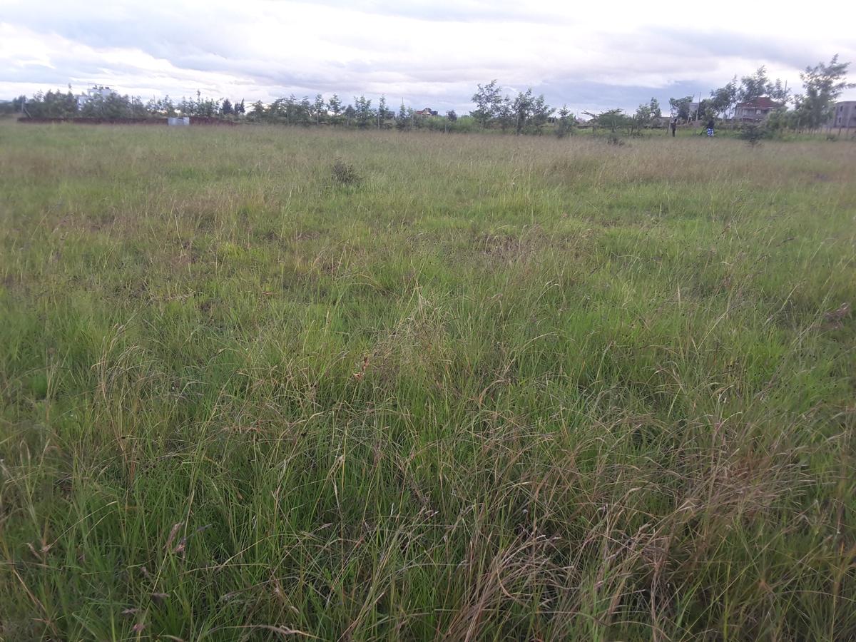 0.25 ac Land in Ongata Rongai - 12