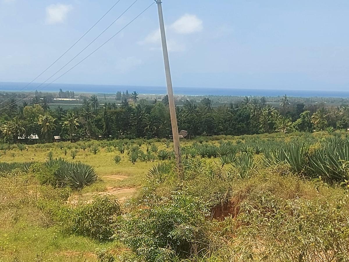 1 ac Land at Shariani - 4