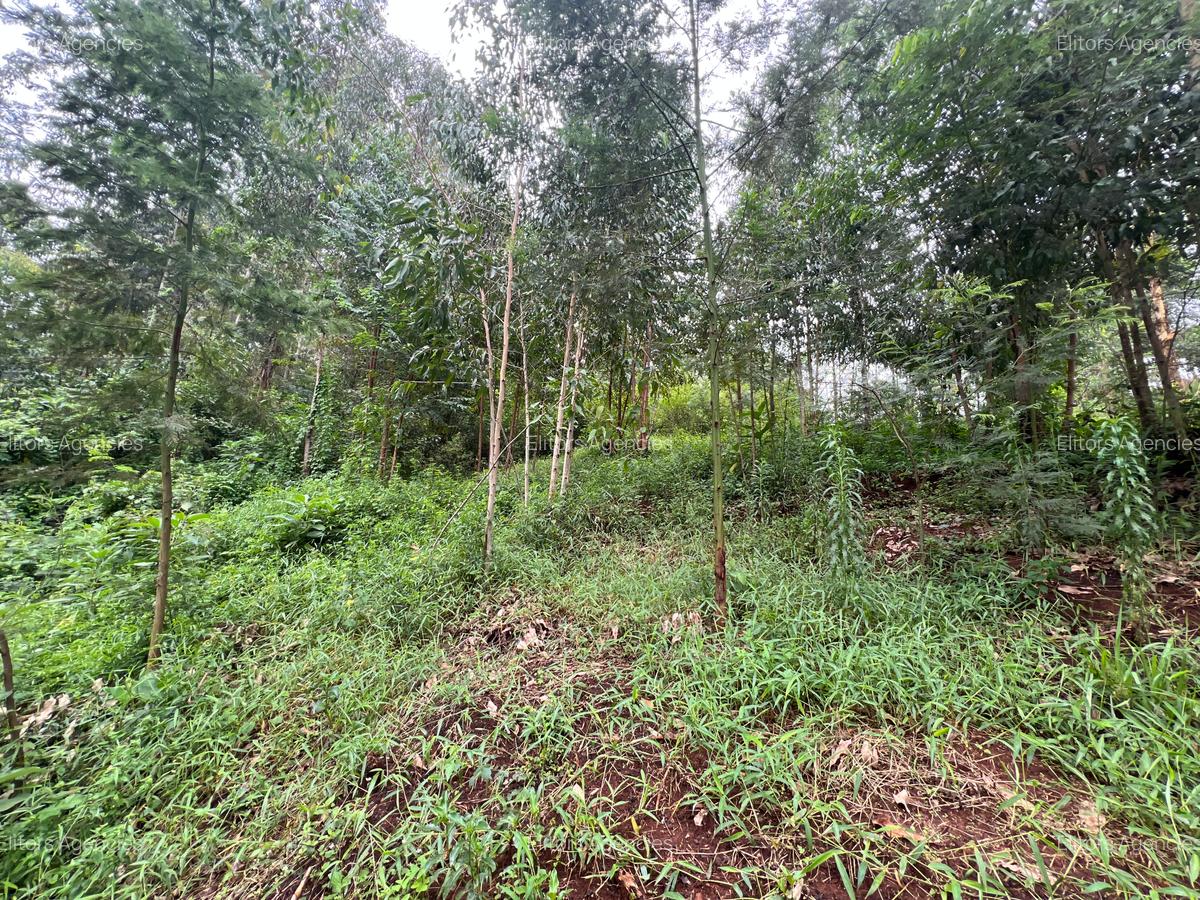 0.42 ac Residential Land at Kirawa Road - 5
