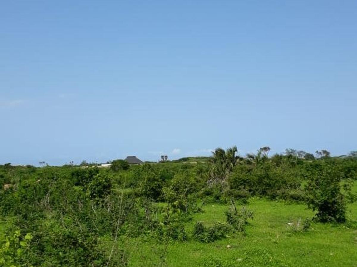 202,350 m² Land in Vipingo - 2