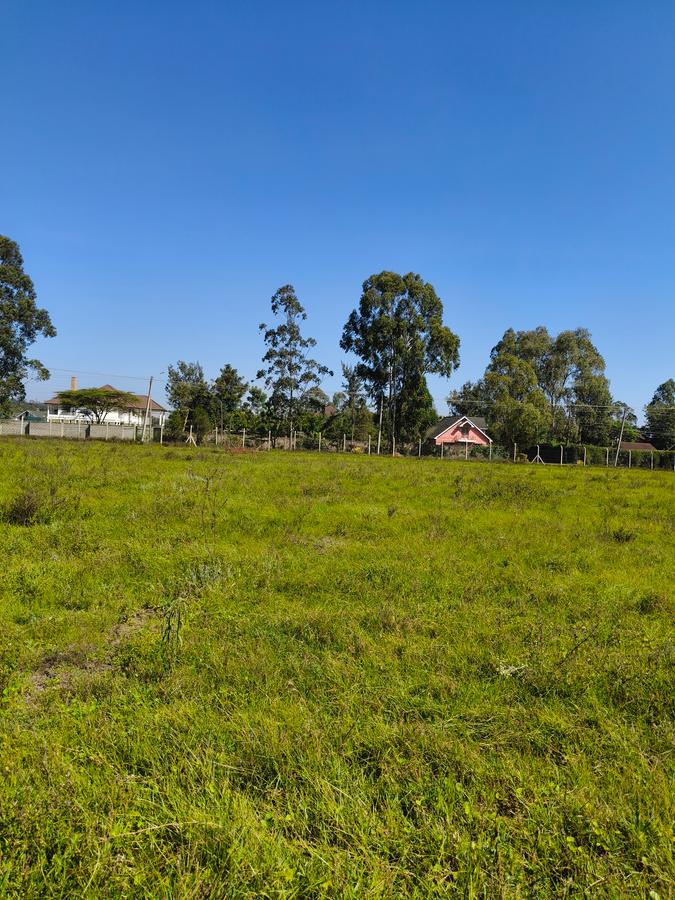 Residential Land at Marula Road - 19