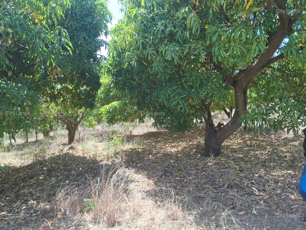 450 ha Residential Land at Sucess Garden Kenol Makuyu - 1