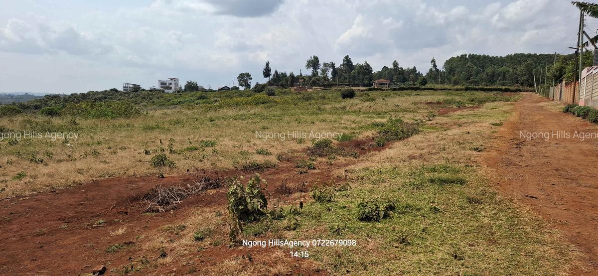 Land in Ngong - 11