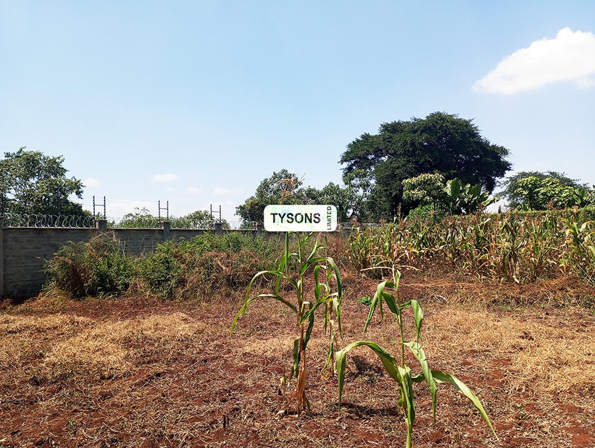 Residential Land in Ruiru - 4