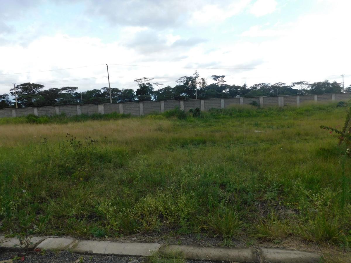 Residential Land in Karen - 3