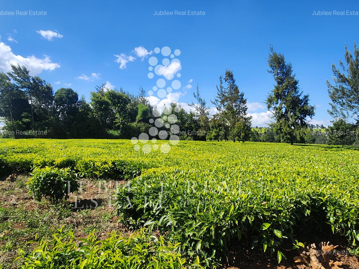 12 ac Land in Tigoni - 3