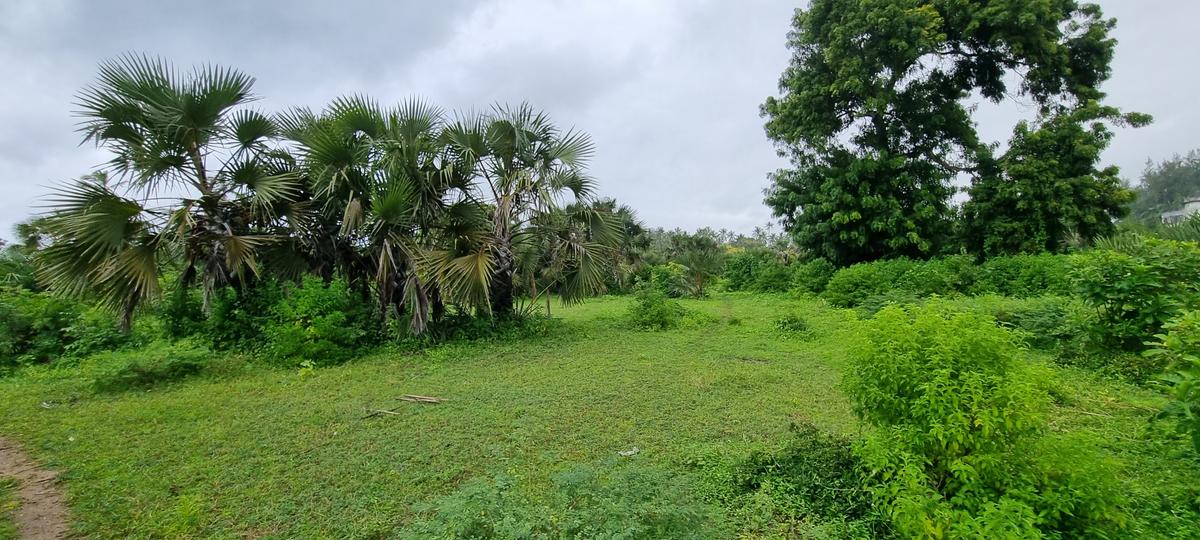 10 ac Land at Kikambala - 8