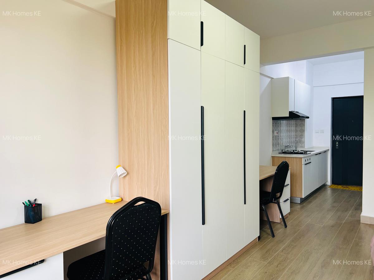 Furnished Studio Apartment with Gym at Juja - 14