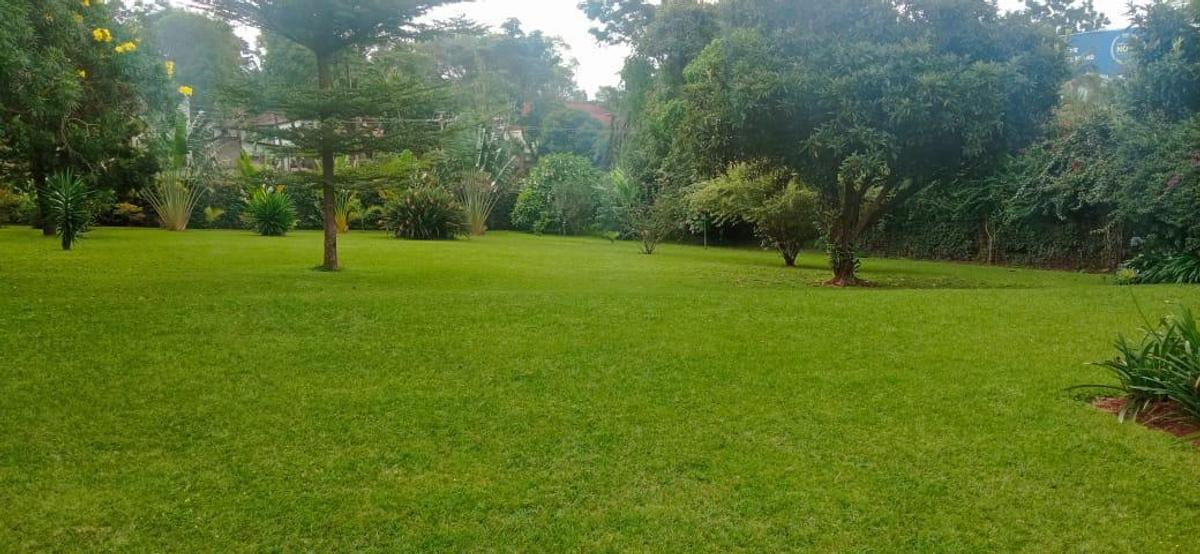 8 Bed House with En Suite in Lavington - 5