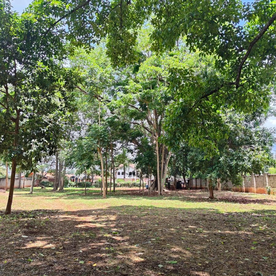 1 ac Land at Thigiri Ridge - 4