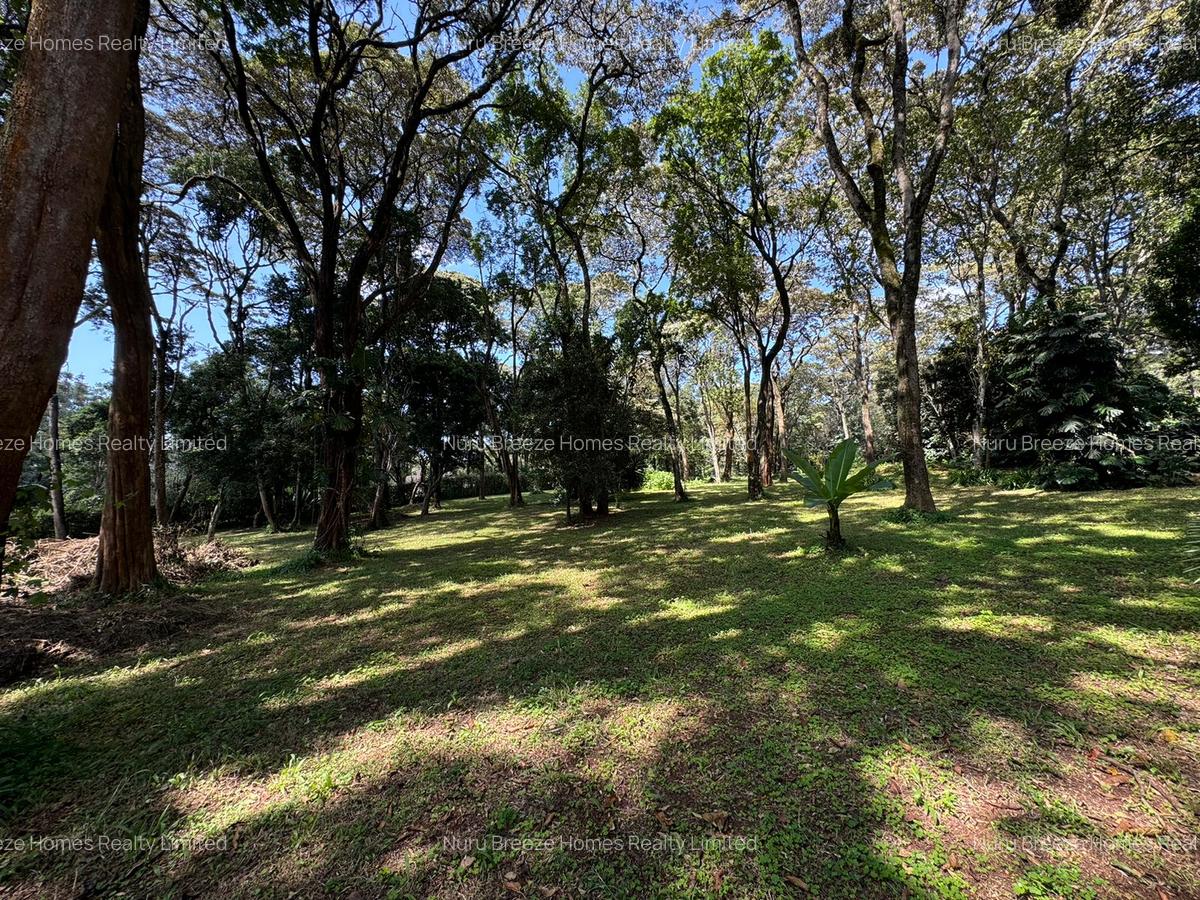 1 ac Land in Karen - 13