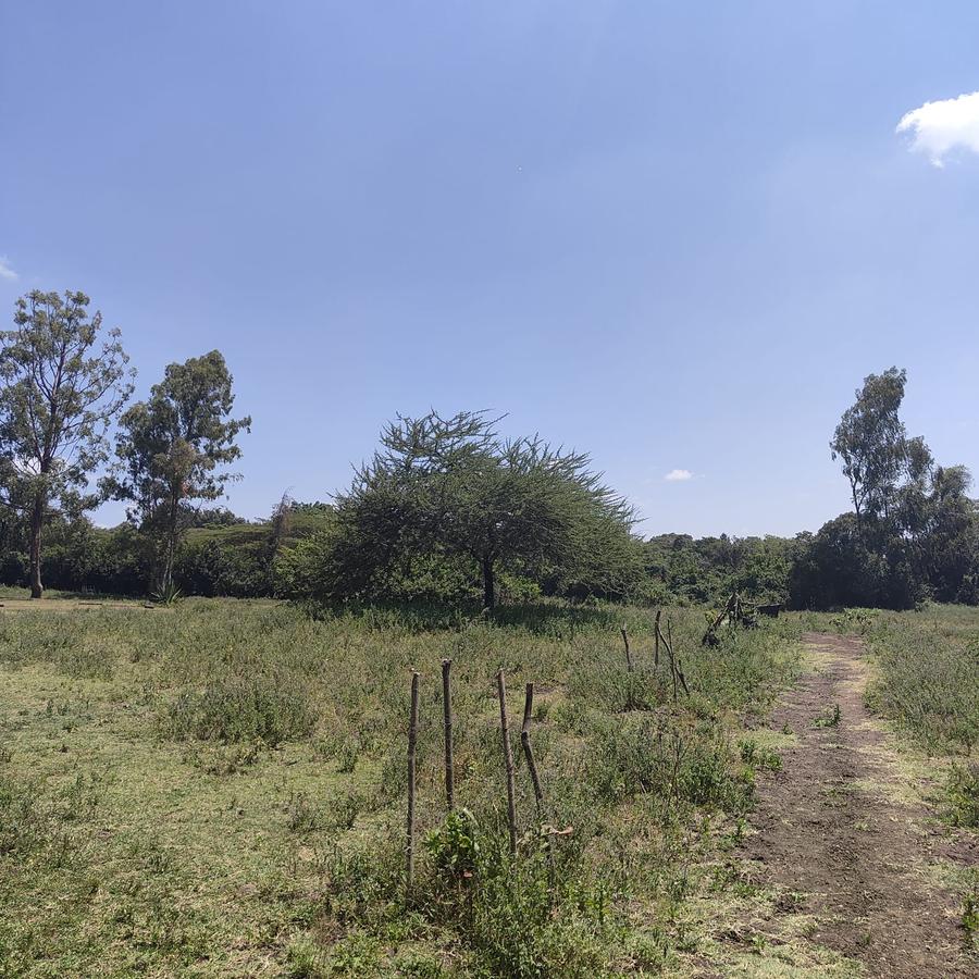 1 ac Land at Ndovu Road - 12