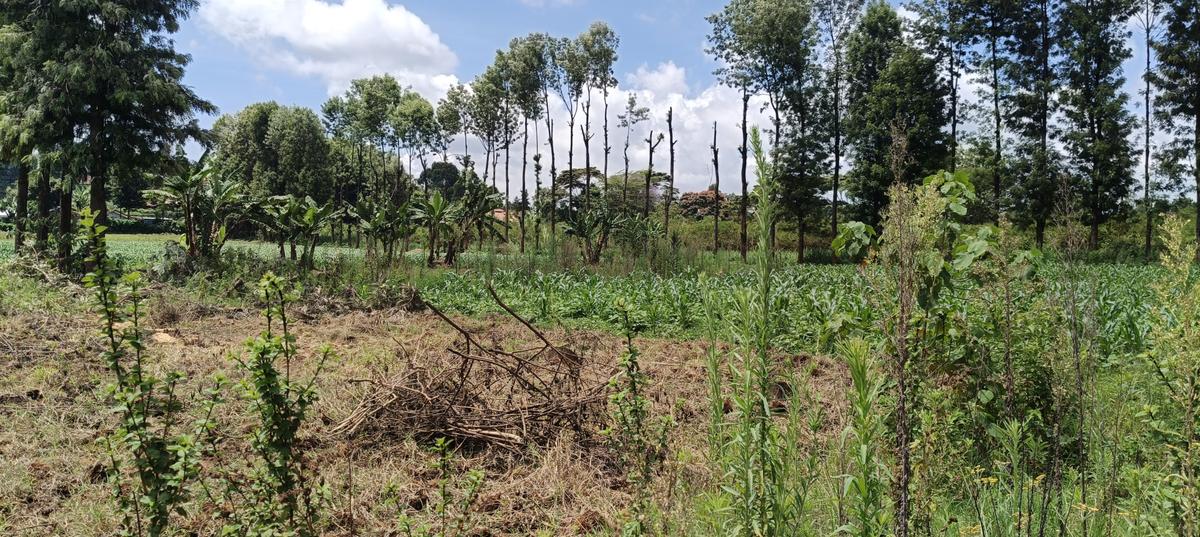 0.125 ac Residential Land at Ruaka - Banana - Kiambaa - 3