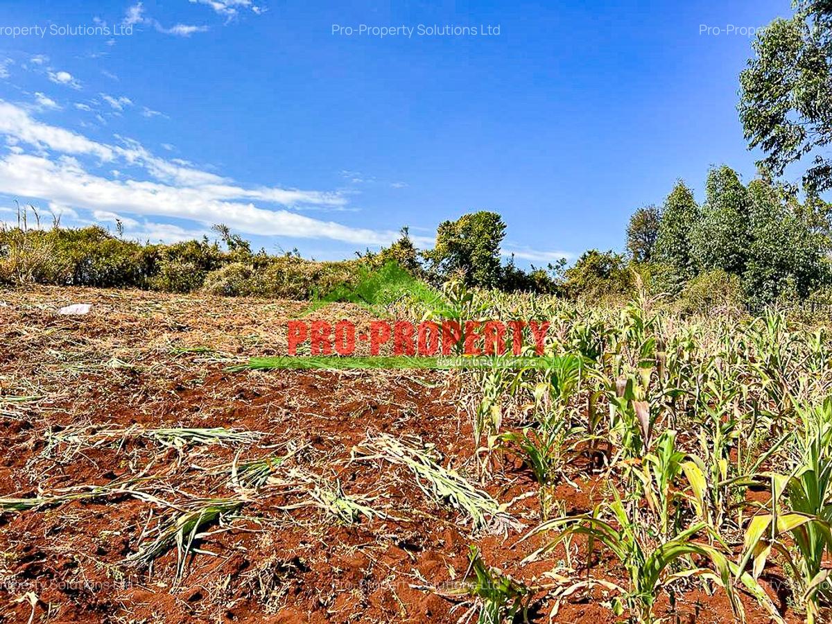 0.1 ha Residential Land at Ondiri - 7