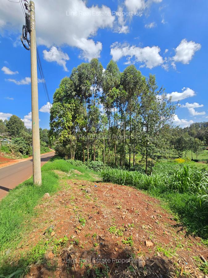 Residential Land in Kitisuru - 14