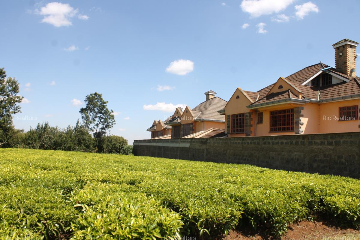 4 Bed Townhouse with En Suite at Tigoni - Limuru - 7
