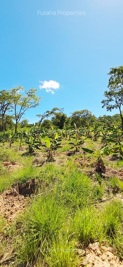 Land at Msambweni - 1