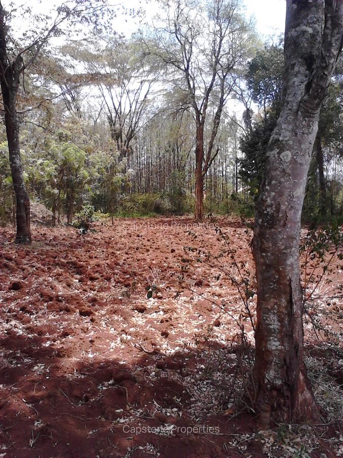 Residential Land at Runda - 5