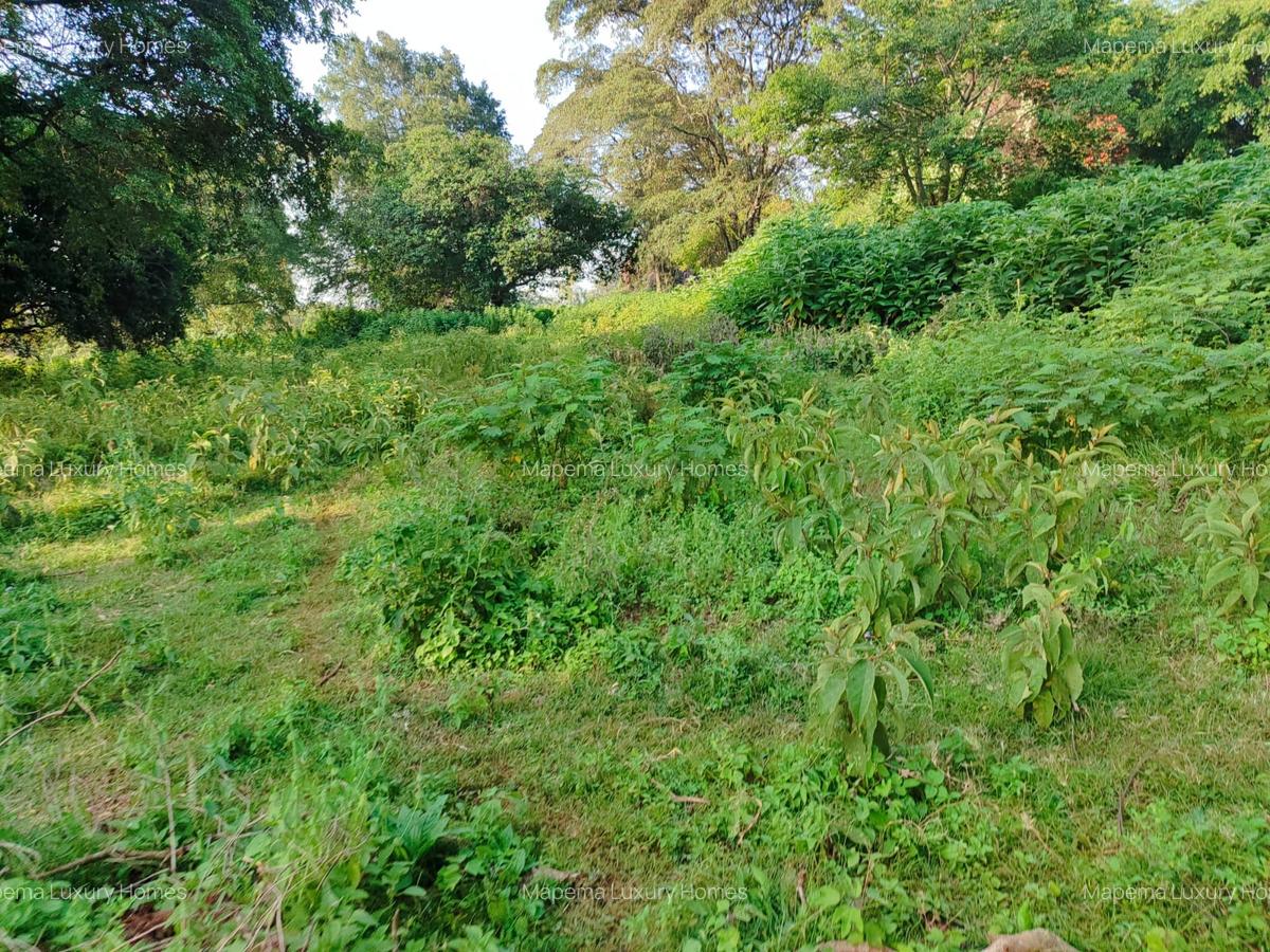 Residential Land at Karen - 14