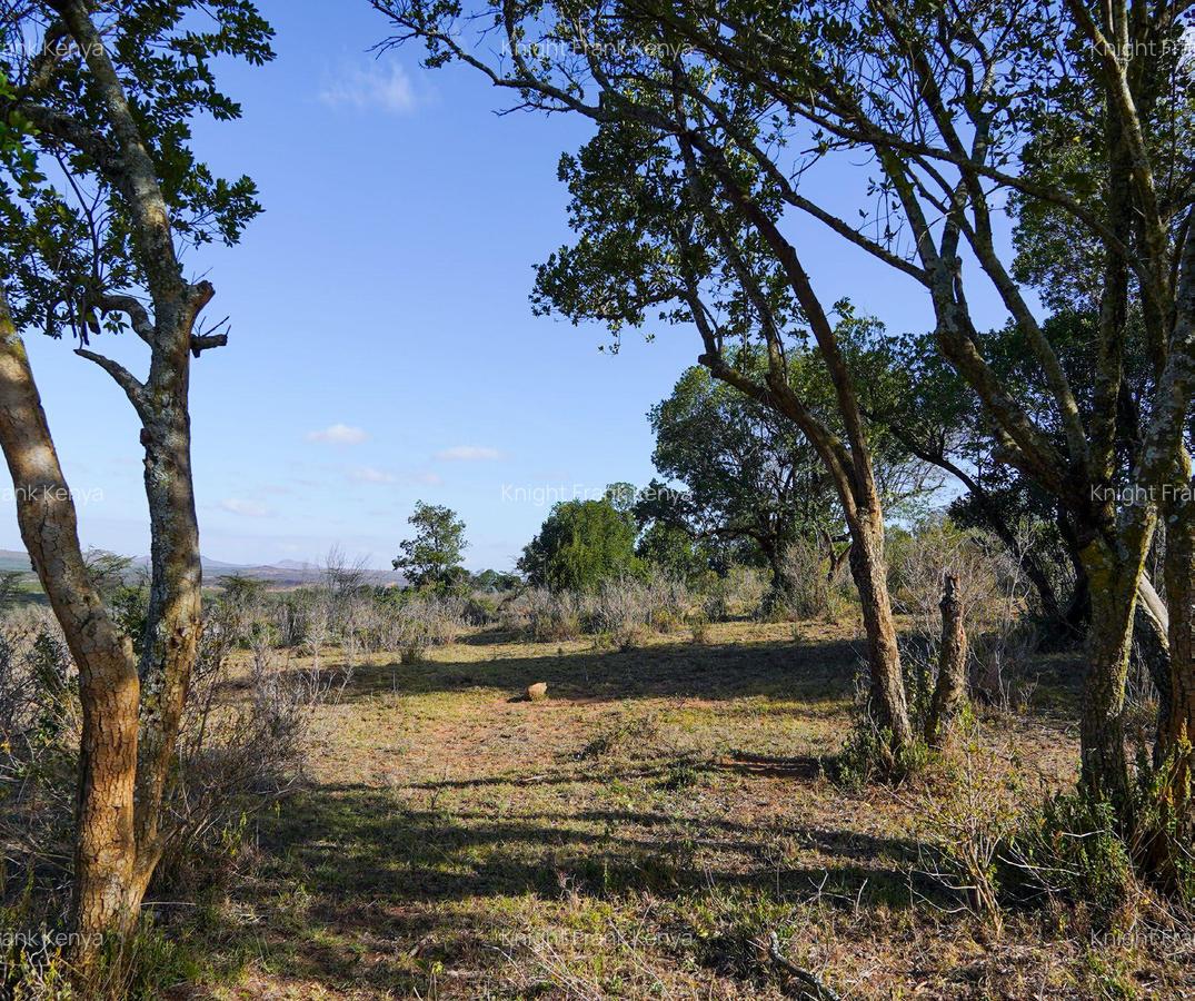 100 ac Land at Lolldaiga Valley - 2