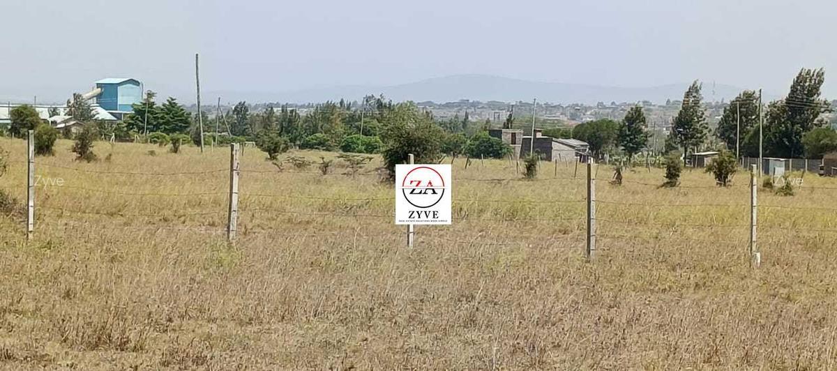 0.25 ac Land at Enkasiti - 5
