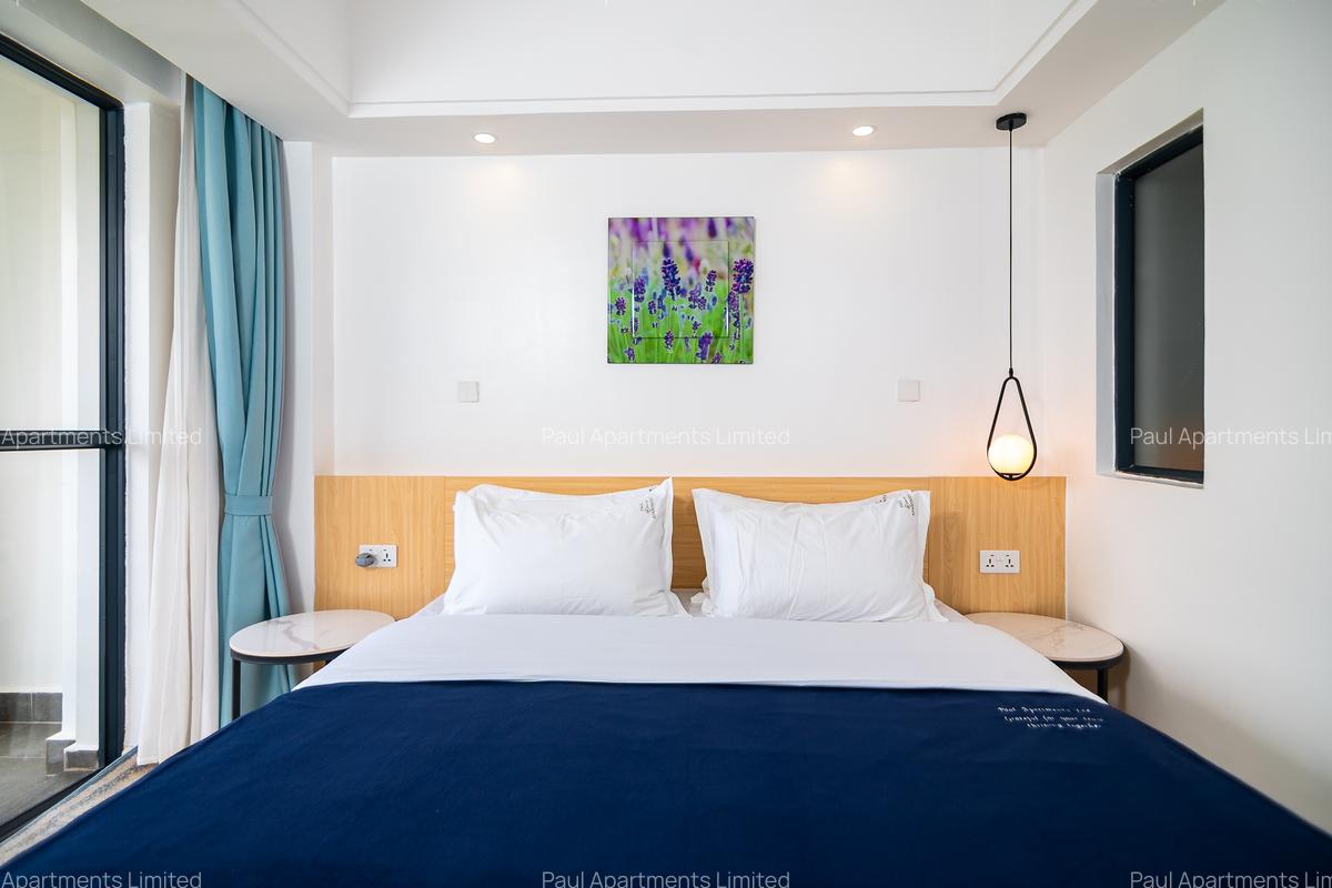 Serviced 2 Bed Apartment with En Suite at Mawensi Road - 9