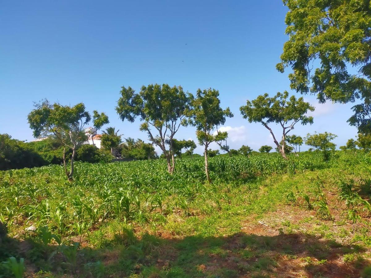 Land in Kilifi County - 12