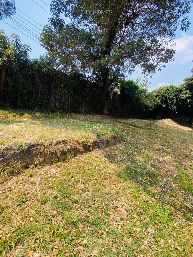 1 ac Land at Banana Raini Road - 6