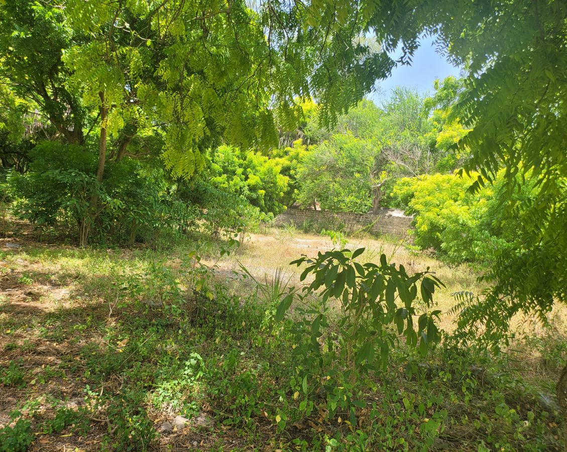 Residential Land in Nyali Area - 5