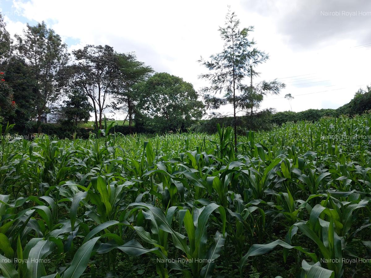 Land at Kirawa Road - 10