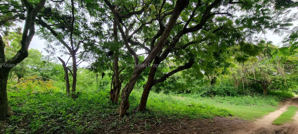 15 ac Land at Kuruwitu - 11