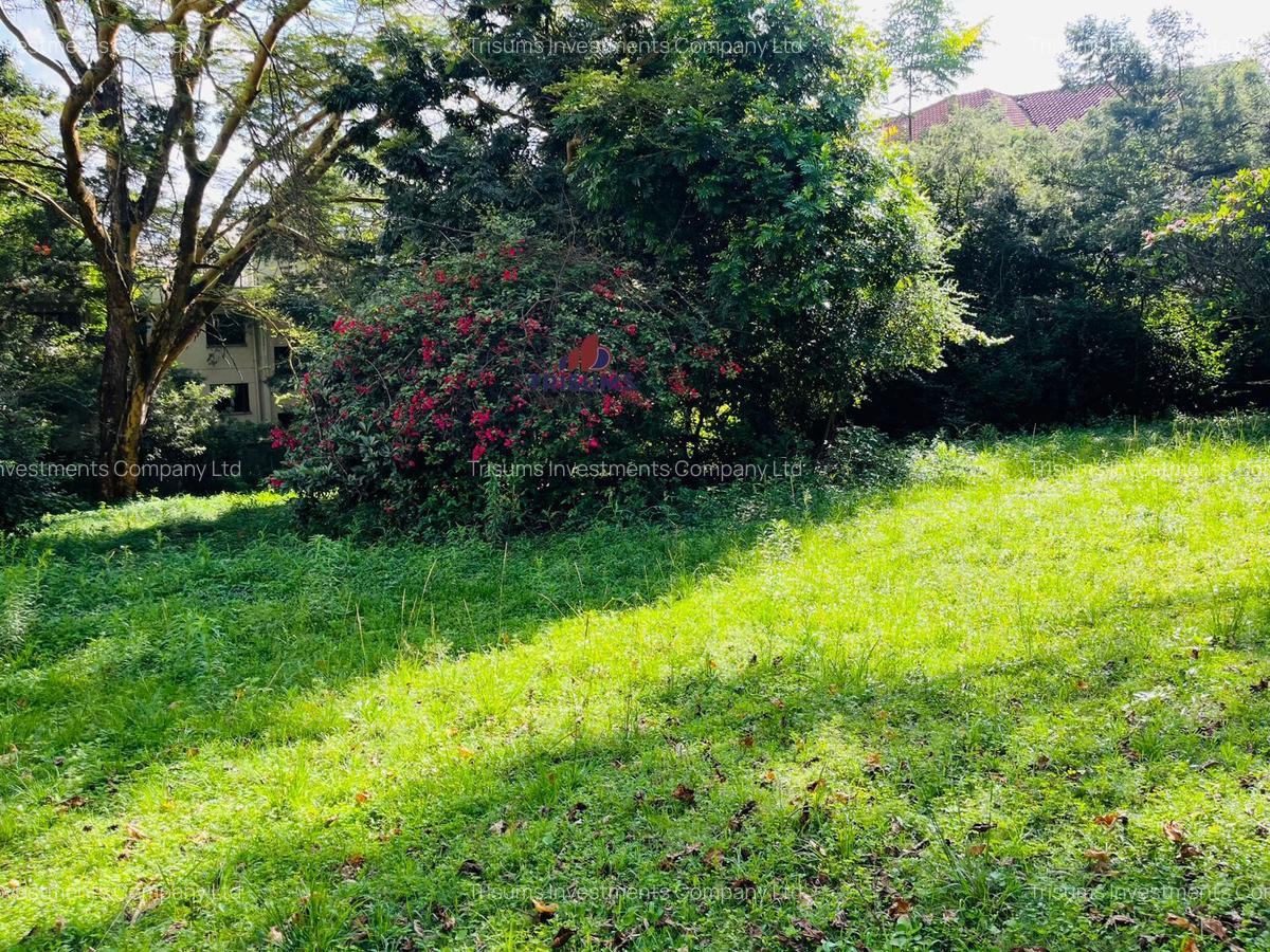 2.2 ac Land in Lavington - 15
