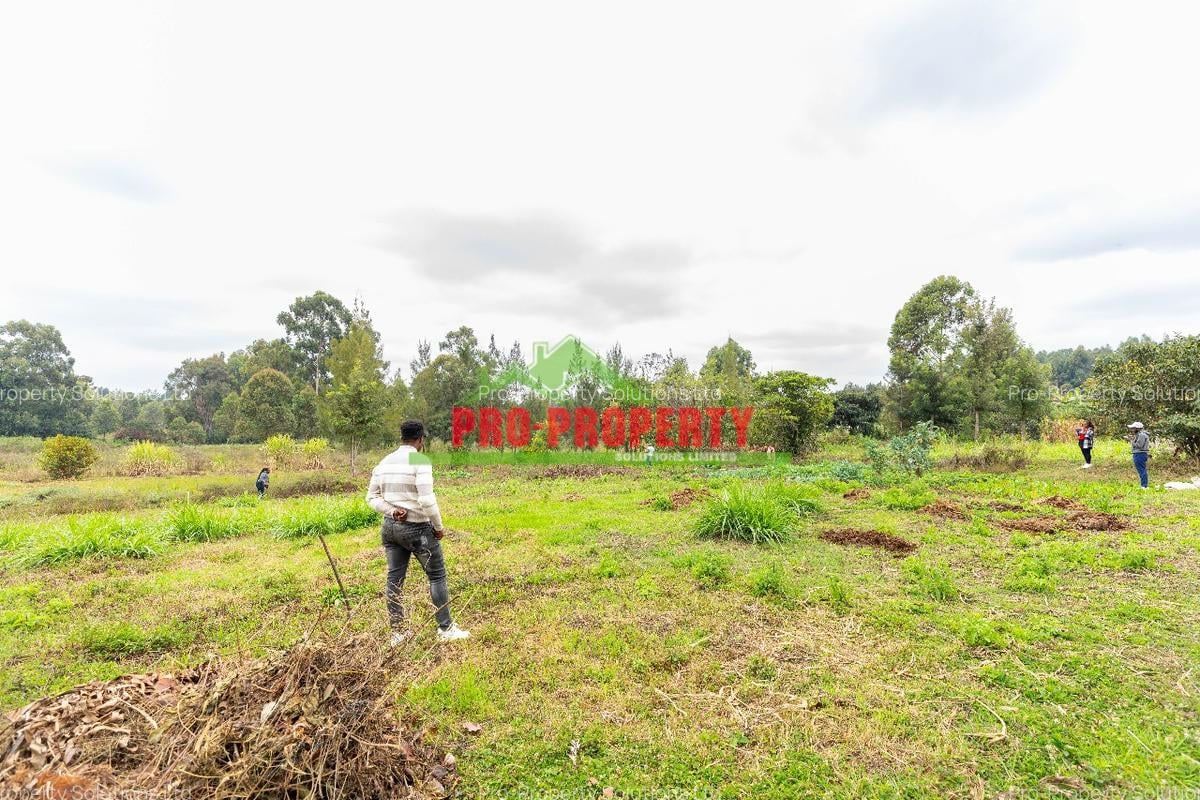 0.05 ha Residential Land at Mai-Ii-Hii - 4