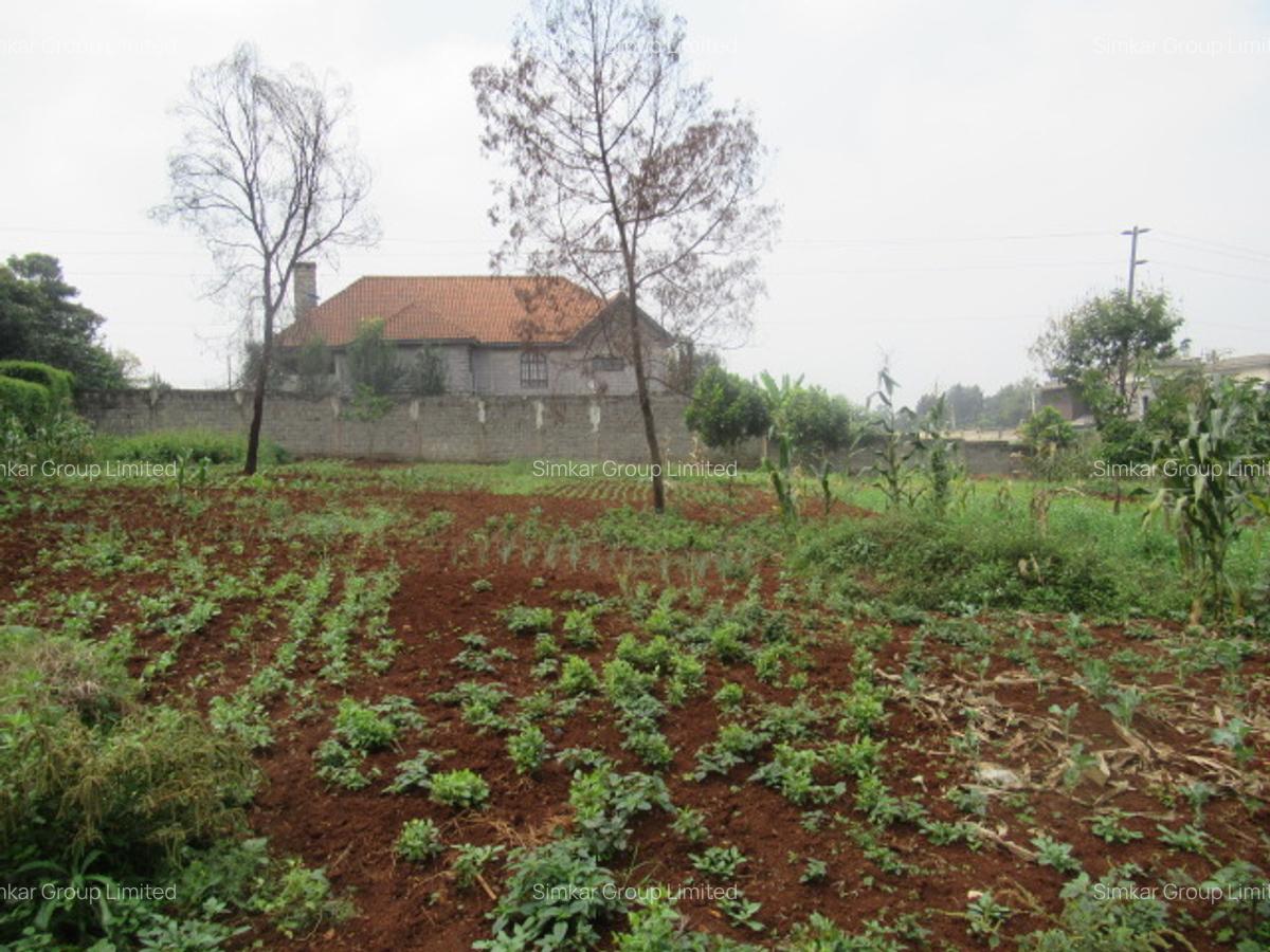 Residential Land at Runda - 6
