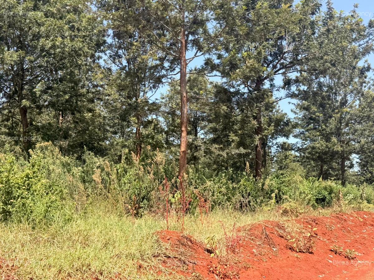 500 m² Residential Land at Ruiru-Githunguri Road - 7