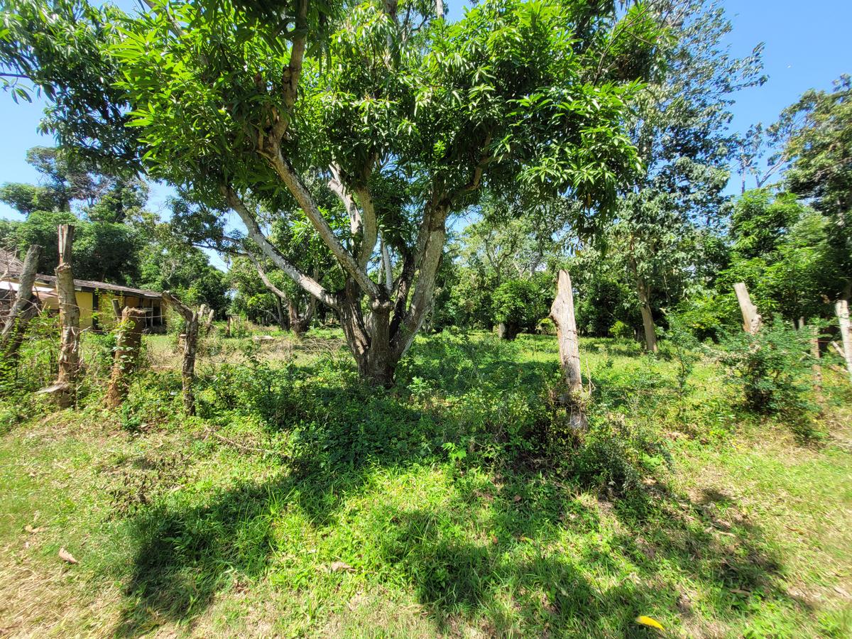 Land at Mt Kenya - 10