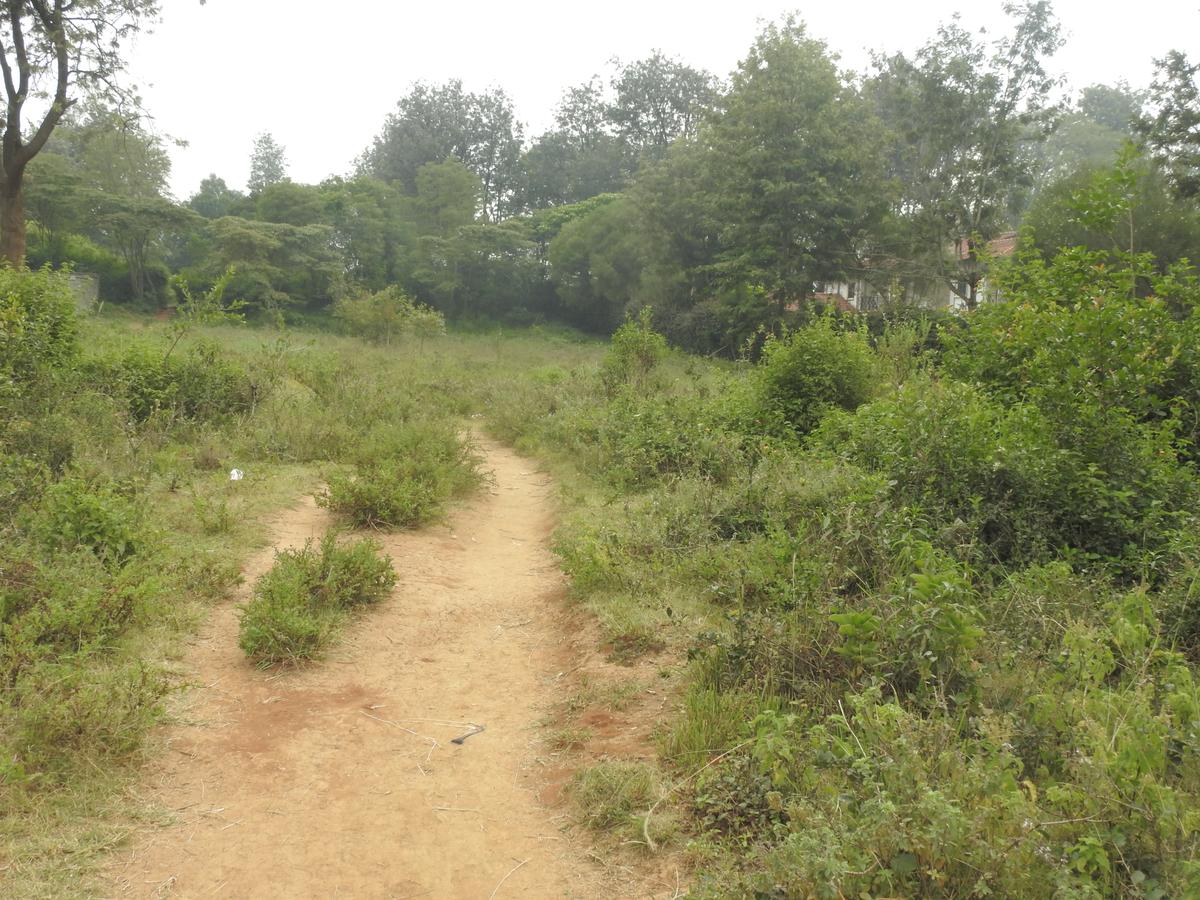 1.3 ac Land at Karen Plains - 6