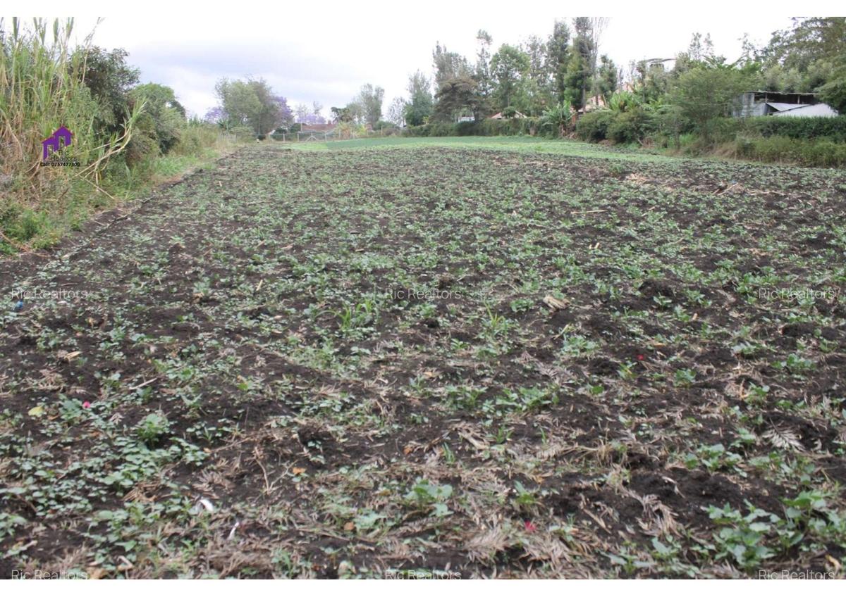 0.10 ha Land at Rimpa Road - 4