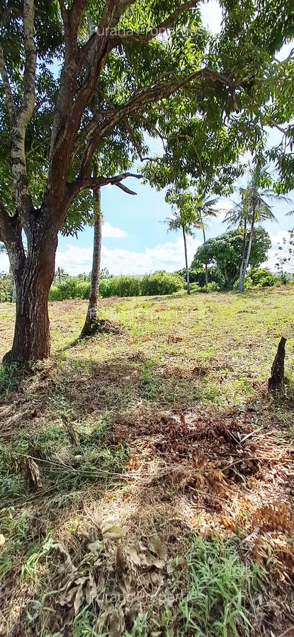 Land at Vipingo - 10