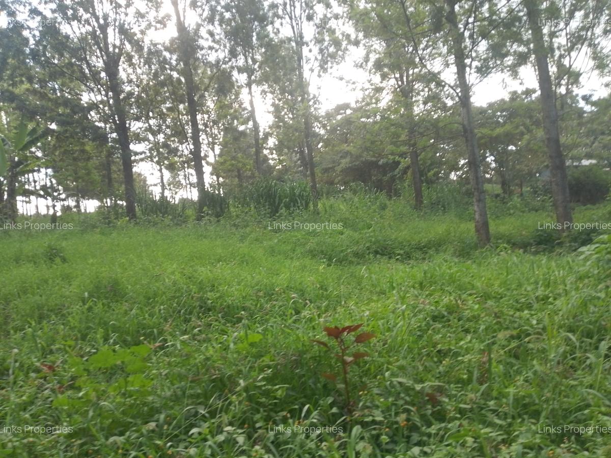 Land at Kibiko Ngong - 8