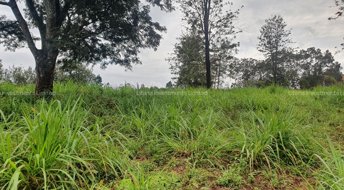 0.5 ac Land at Ruaka Town - 4
